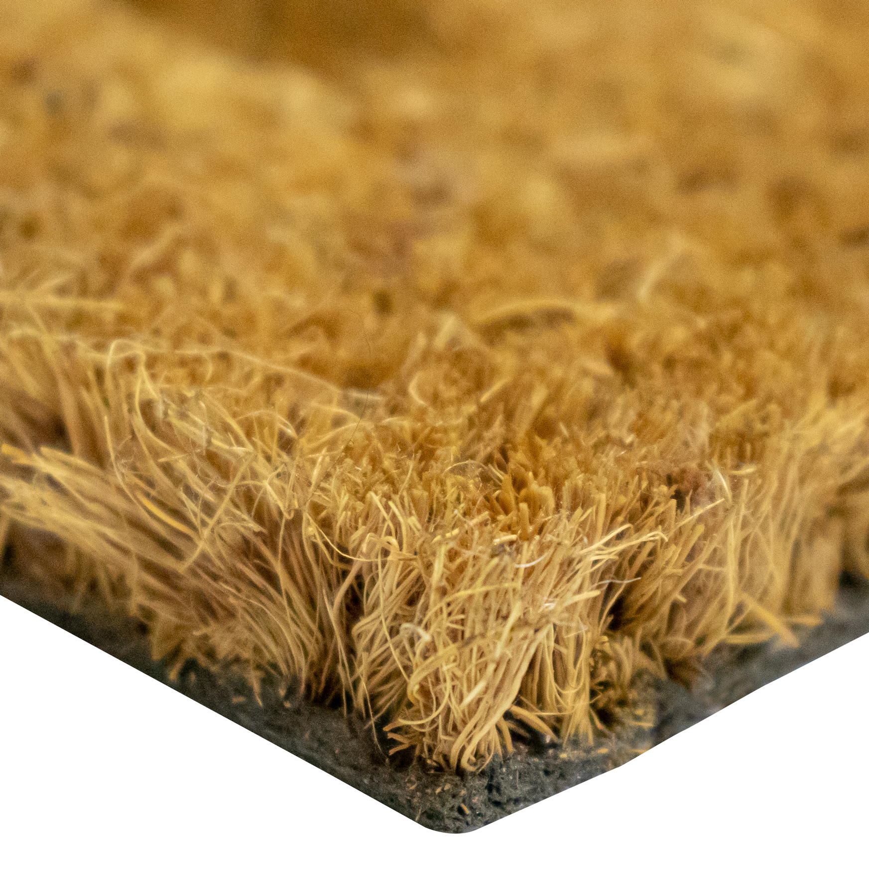 Coir Mats